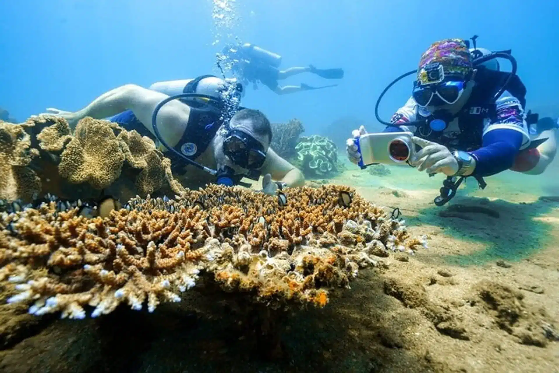 a460e938-6105-434f-ab3d-55c1538a989f_cham-island-snorkeling-beach-tour-hoi-an-viet-nam-xlarge