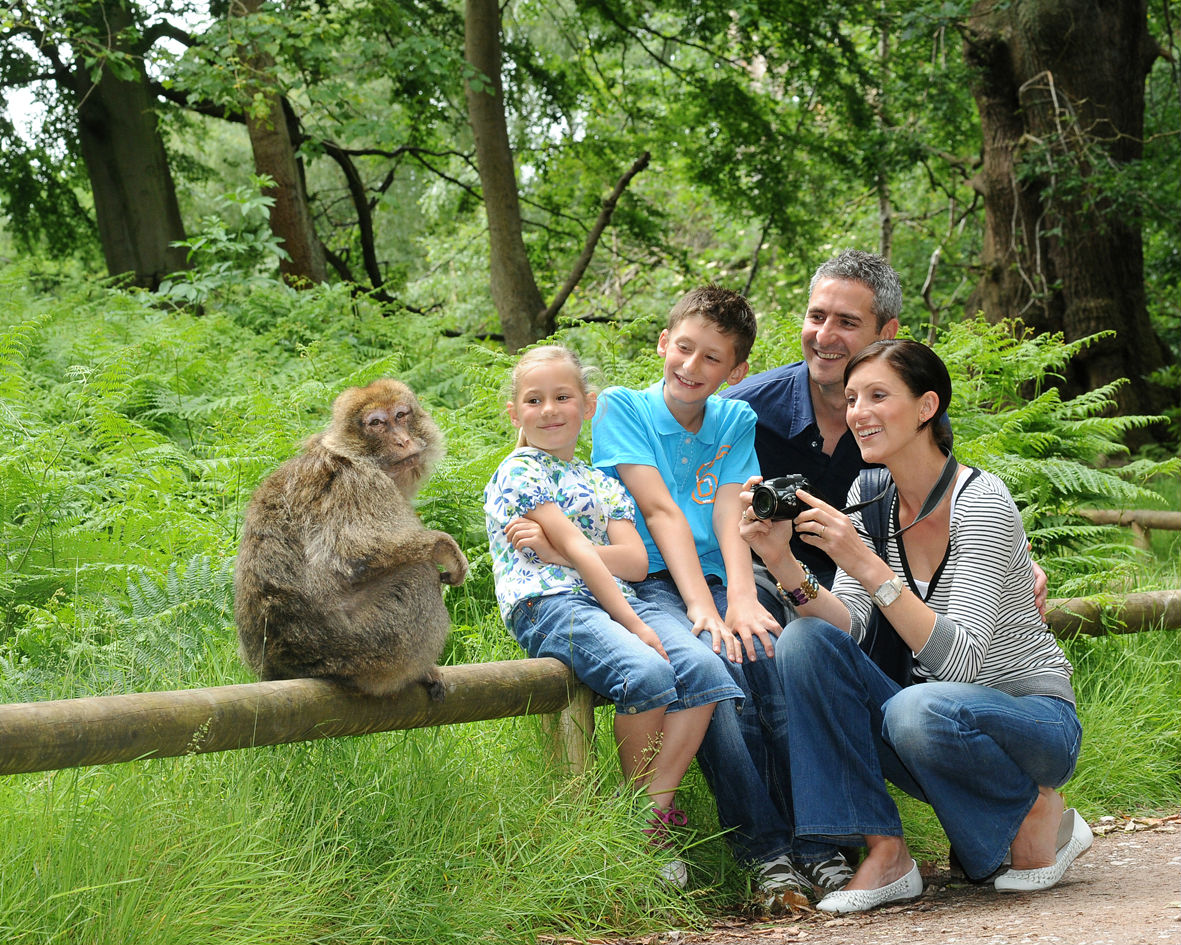 montagne-singes-ot-selestat-2
