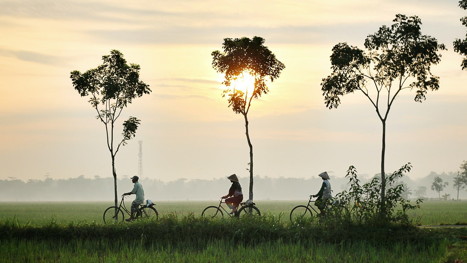 vietnam-half-day-cycling-in-the-hoi-an-countryside