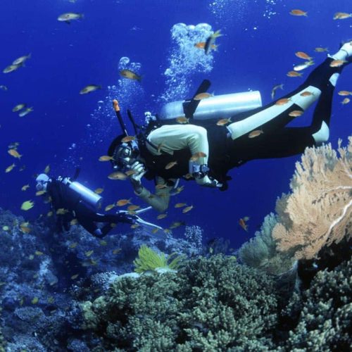 Hoi-An-snorkeling-is-best-enjoyed-during-the-dry-season