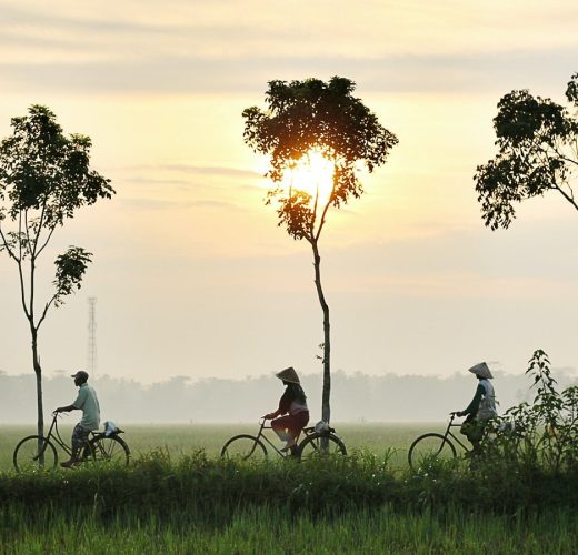 vietnam-half-day-cycling-in-the-hoi-an-countryside